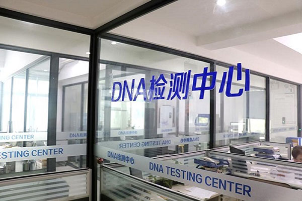 ͷDNA